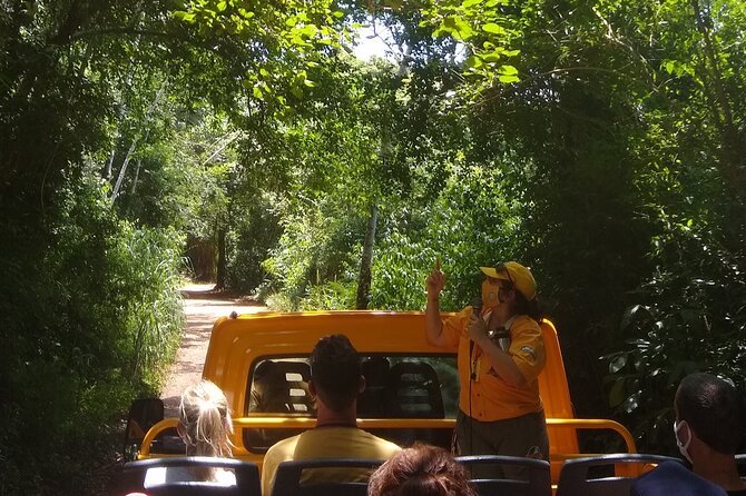 Iguazu Falls: Argentinian Side With Boat Ride, Jungle-Truck and Train - Customer Reviews and Feedback
