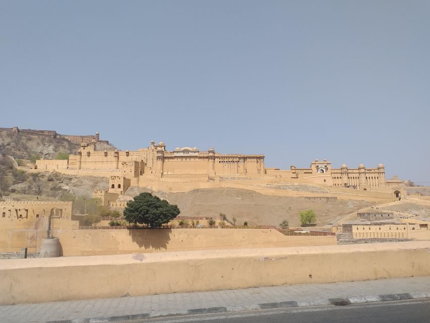 Jaipur Same Day Trip From Delhi by Car - Accessibility Features