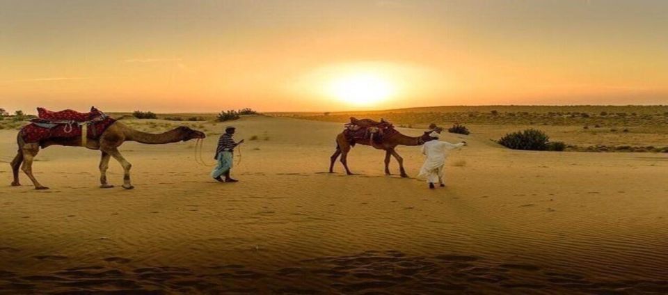 Jaisalmer: Private Full-Day City Sightseeing Guided Tour - Cultural Highlights