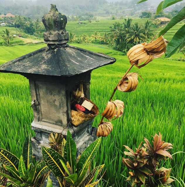 Jatiluwihs Rice Field Terraces: A Scenic Self-Guided Audio - Detailed Tour Information