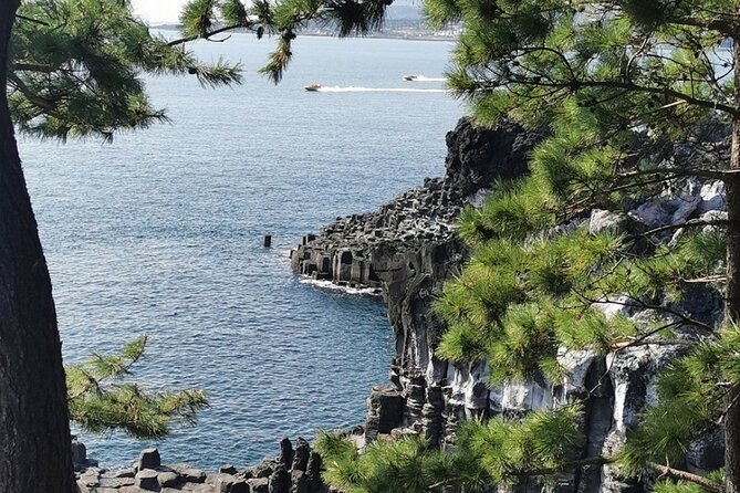 Jeju Island English Flexible Private Tour From 1 to 13, 10 Tours - Customizable Itinerary