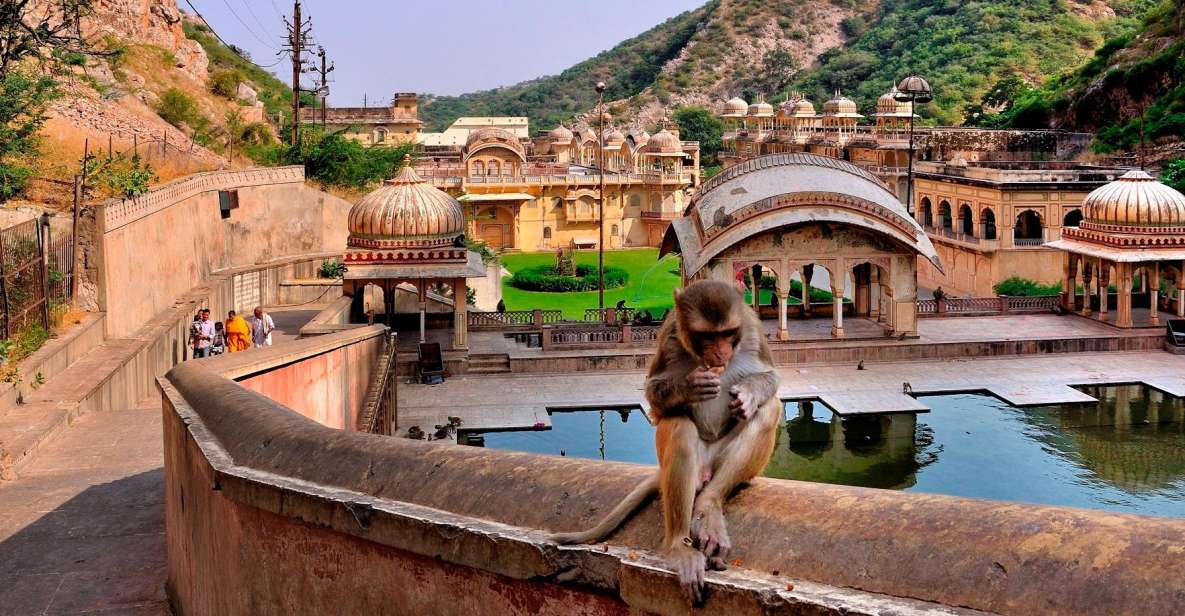 Jodhpur: Blue City Walking Tour - Inclusions