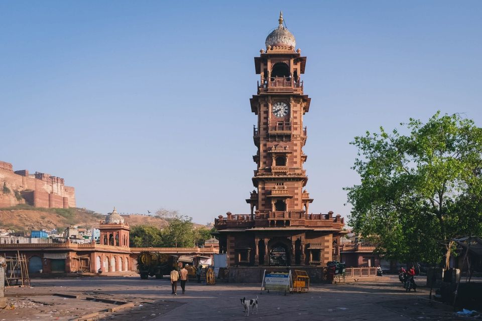 Jodhpur: Mehrangarh Fort and Jaswant Thada Private Tour - Experience and Services