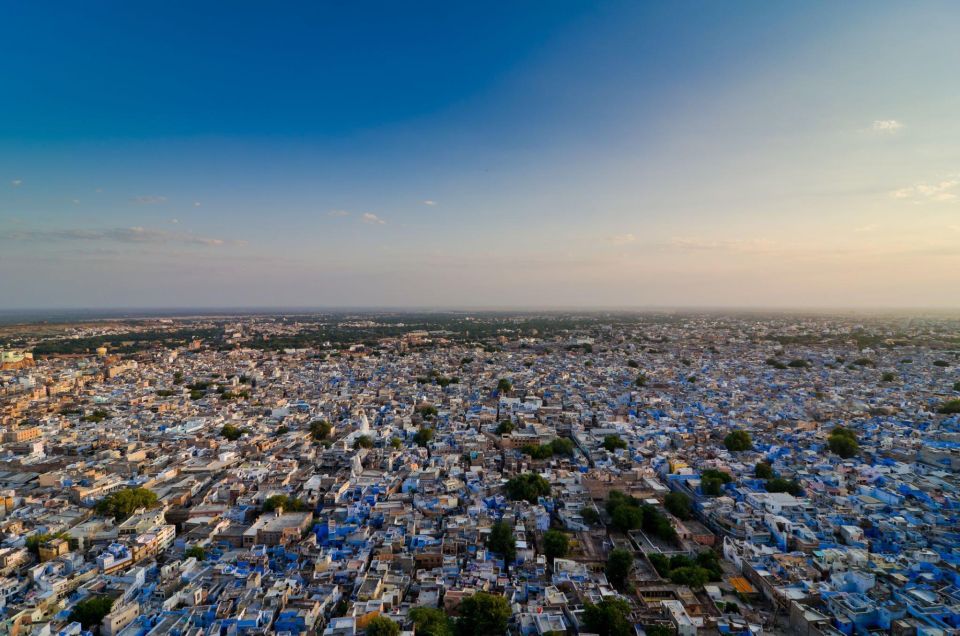 Jodhpur: Private Mehrangarh Fort and Blue City Day Tour - Customer Feedback and Ratings