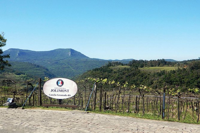 Jolimont Winery Tour - Visitation and Tasting - Canela RS - Visitor Experience and Reviews