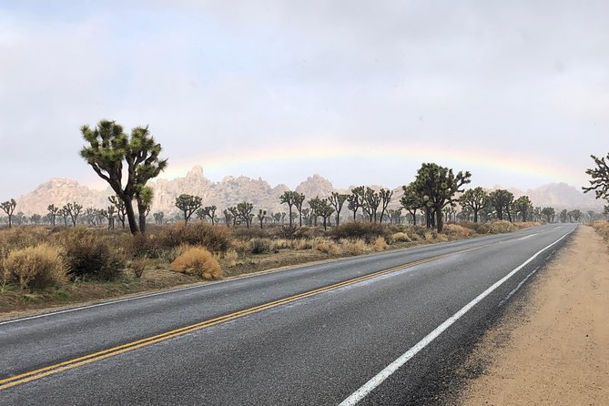 Joshua Tree National Park Air-Conditioned Tour - Pricing Details and Options