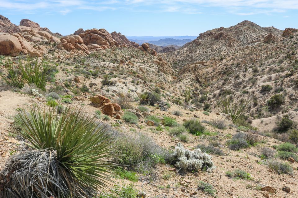 Joshua Tree National Park: Self-Driving Audio Tour - Visiting Samuelsons Rock and Skull Rock