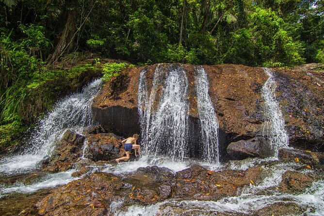 Jungle Canopy Zipline & Waterfall Rappelling - Bocawina Falls - Meeting Point and Logistics