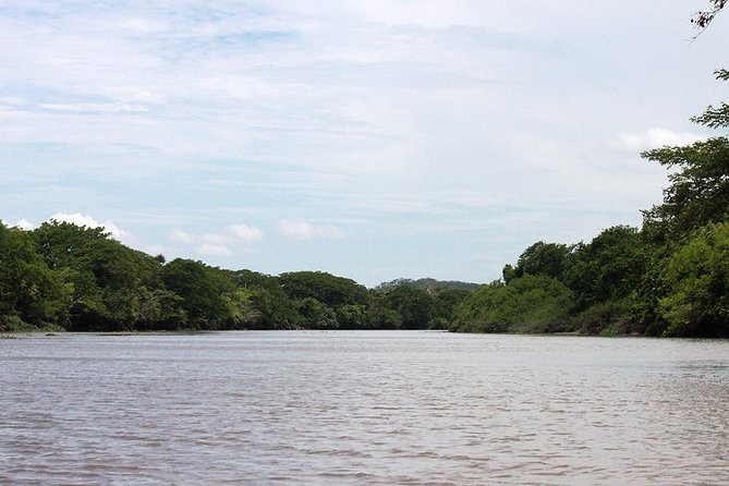 Jungle Cruise at Palo Verde National Park - Booking Process