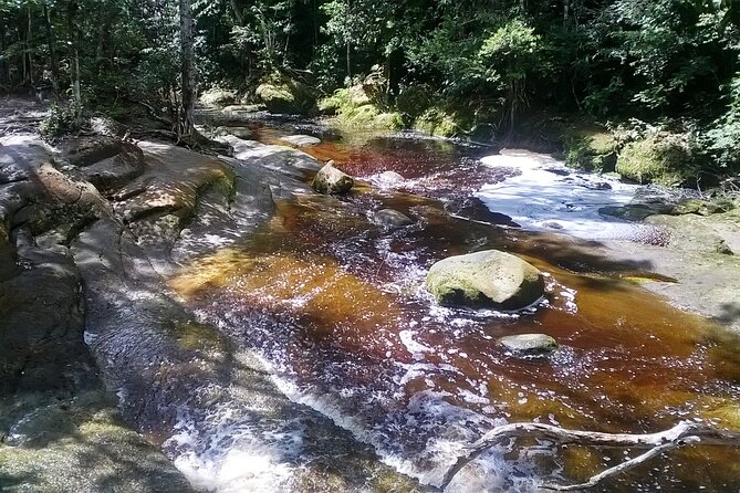 Jungle Walking With Caves and Waterfalls in Amazon Full Day Tour - Activities to Expect