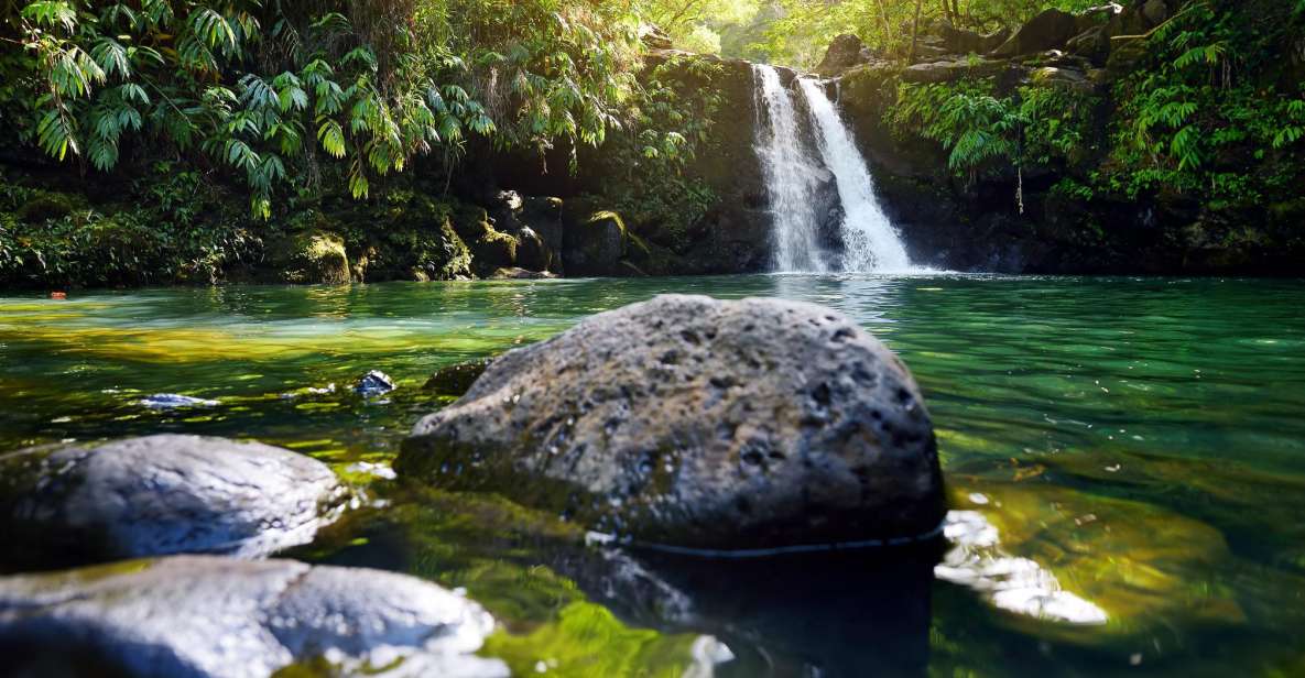 Kahului: Guided Rainforest and Waterfall Walk - Trail Description