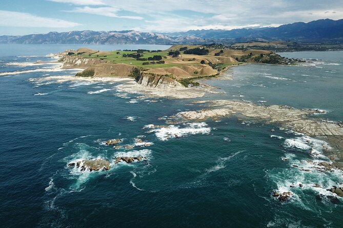 Kaikoura Day Tour With Kayak Experience From Christchurch - Local Cuisine Experience