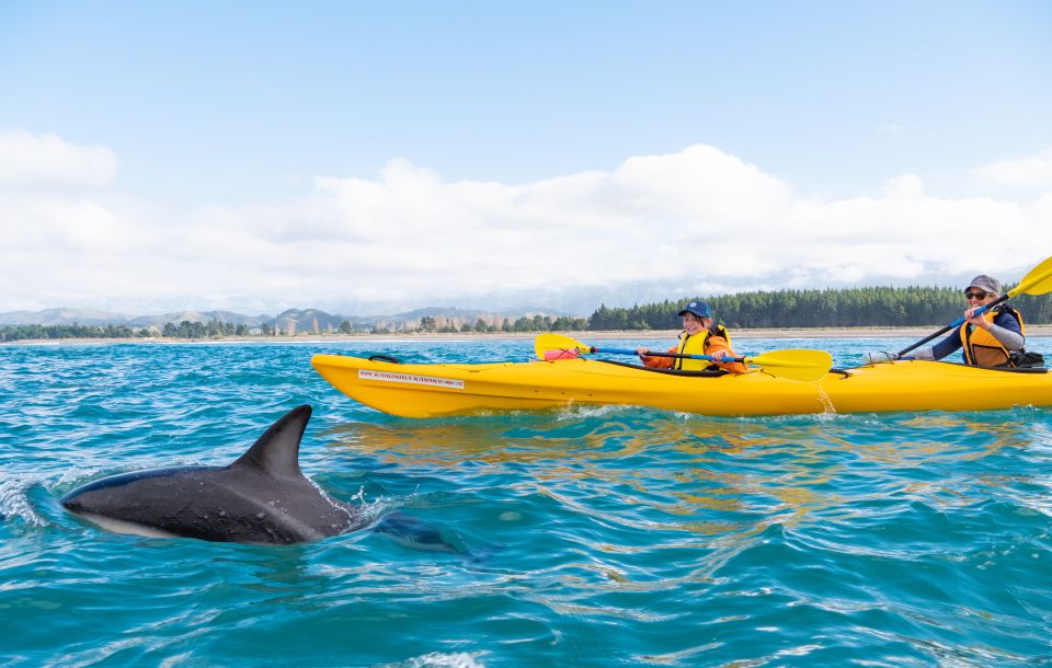 Kaikoura: Guided Family Kayaking Adventure - What to Bring