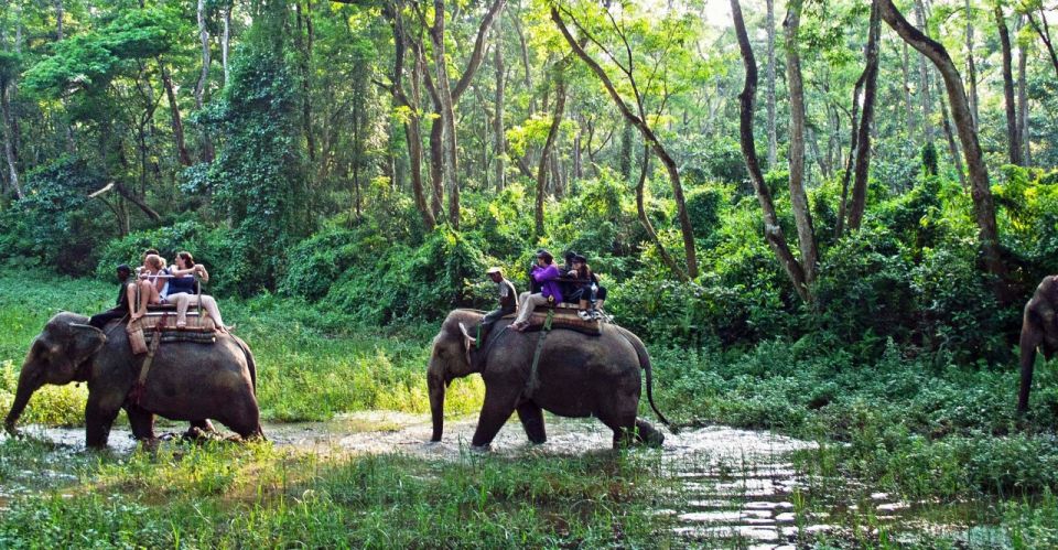 Kathmandu: 3 Day Chitwan Jungle Safari Tour Package - Day 1 Activities