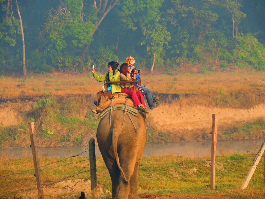 Kathmandu: 3-Day Luxury Trip to Chitwan With 5-Star Hotel - Dining Experience