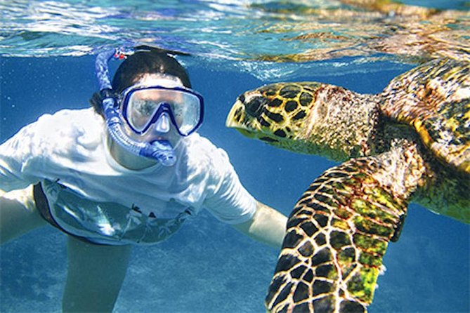 Kauais Ultimate South Island Zodiac Boat Snorkel Adventure - Detailed Tour Itinerary