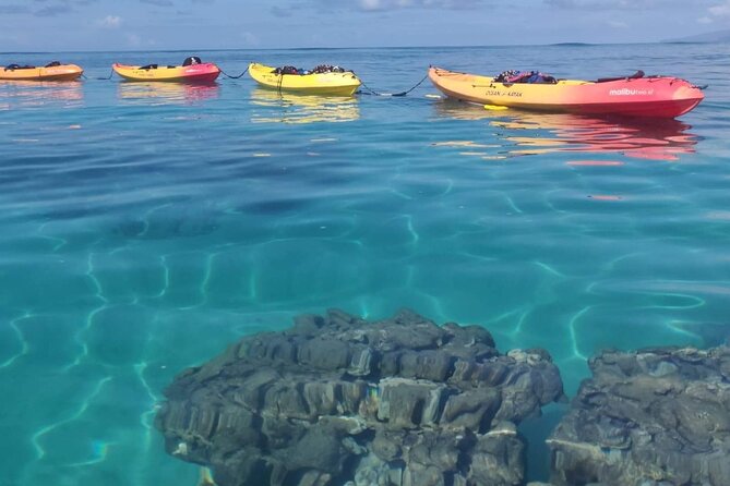 Kayak and Snorkel: Maui West Shore - Scenic Highlights