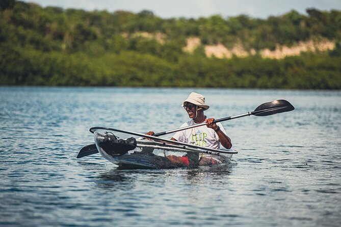 Kayak Eco Adventures Glass Kayak Nature and Snorkeling Tour - Health and Safety Guidelines