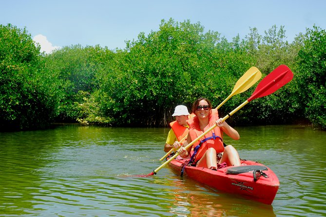 Kayak Lagoon Tour - Customer Reviews and Feedback