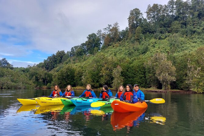 Kayak Through the Sunken Forest of the Maullín River - Kayaking Experience Details