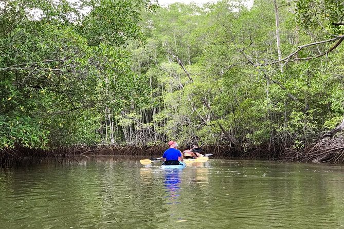 Kayak to the Heart of the National Park - Health and Safety Guidelines