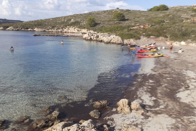 Kayak Tour in the Marine Reserve ! - Meeting Point and Accessibility