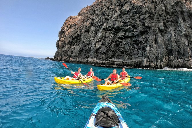 Kayak With Dolphin & Turtle Watching Private Tour - Important Tour Details