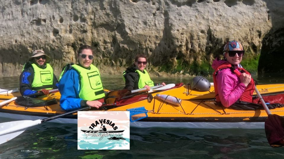 Kayaking Adventure in Puerto Madryn - Highlights of the Experience