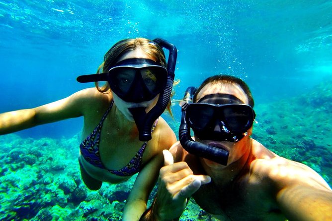 Kealakekua Bay Captain Cook Snorkel Exclusive - Scenic Boat Cruise Highlights