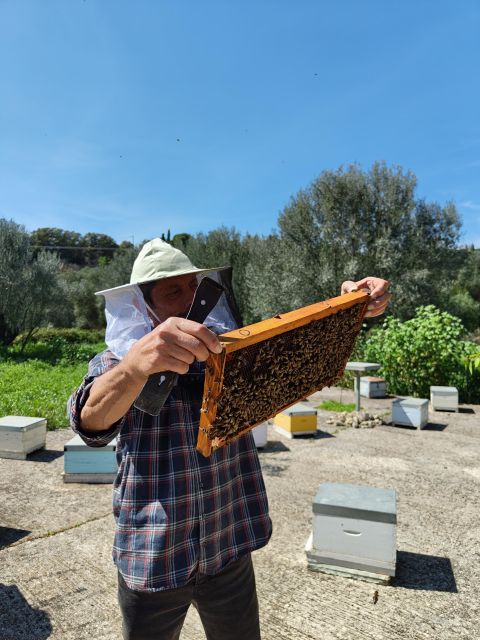 Kefalonia Honey Tour on E-Bikes - Bee Conservation Awareness