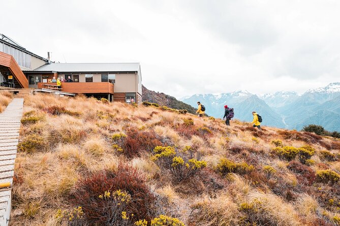 Kepler Track Water Taxi - Scenic Highlights and Wildlife