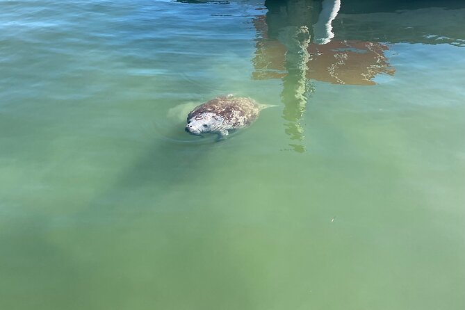 Key Largo Bay Sunset Tour - Booking Your Sunset Cruise