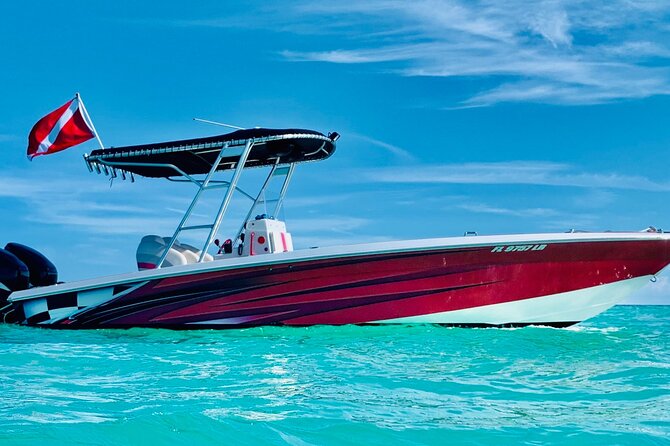 Key Largo Snorkeling Trips & Islamorada Sandbar Tours - What to Expect on Your Tour