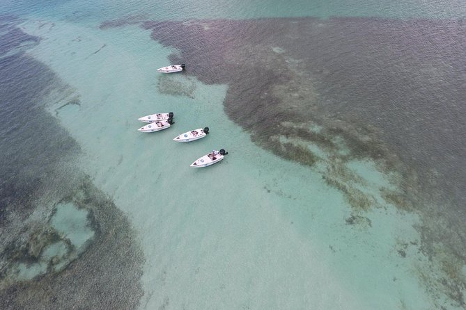 Key West Safari Eco Sandbar Tour Adventure With Snorkeling - Snorkeling Highlights