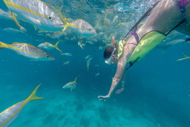 Key West Schooner Backcountry Eco-Tour: Sail, Snorkel & Kayak - Guest Experience and Reviews