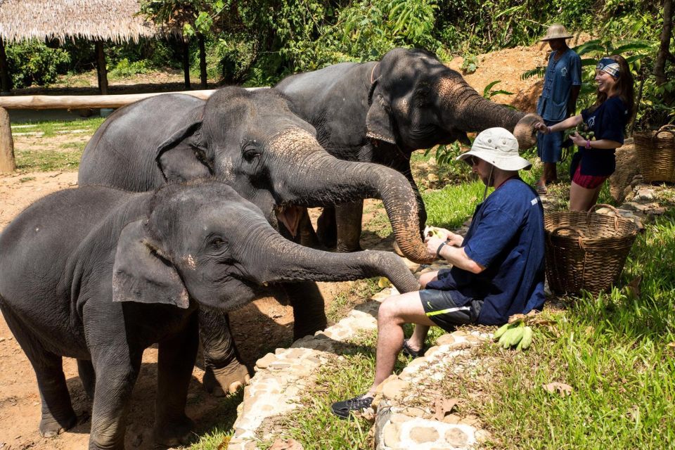 Khao Lak: Elephant Care Experience - Pickup and Group Size