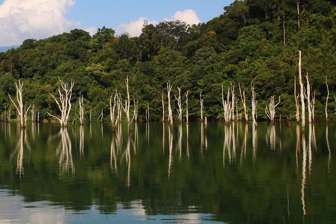 Khao Sok Wildlife 2 Days - Meeting Point and Pickup