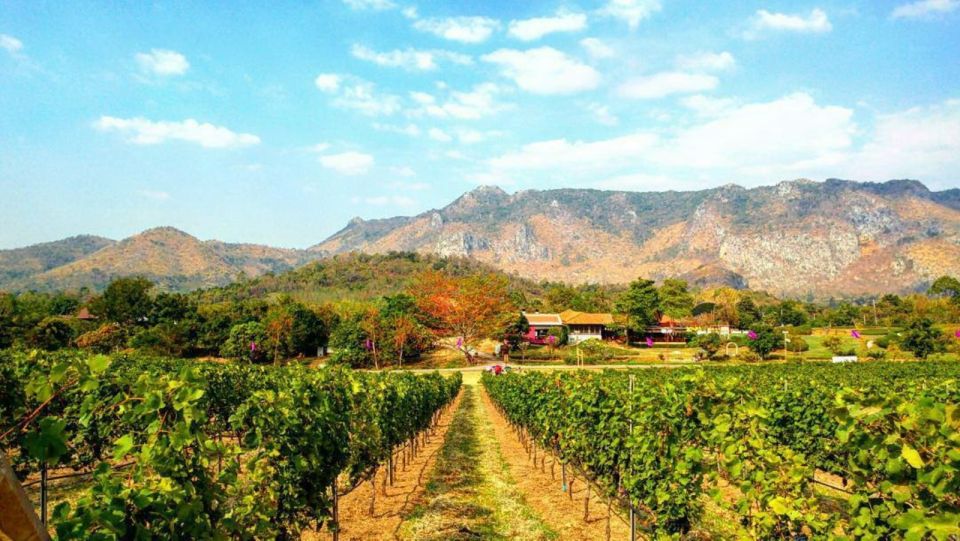 Khao Yai Vineyard Tasting Tour & Horse Farm Visit - Exclusions