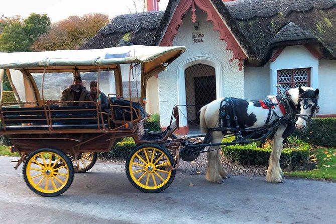 Killarney National Park Tour