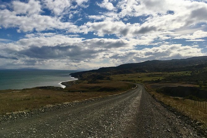 King Penguin - Tierra Del Fuego Island - Positive Traveler Experiences