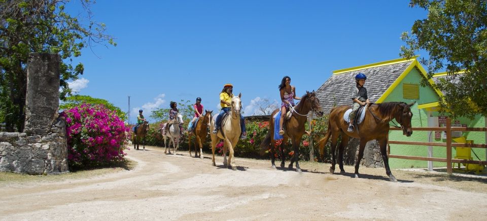 Kingston: Horseback Ride and Swim Excursion - Frequently Asked Questions