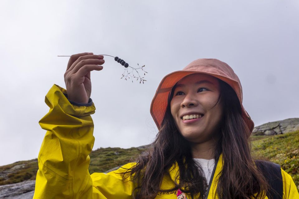 Kjerag: Summer Hike - Highlights of the Experience