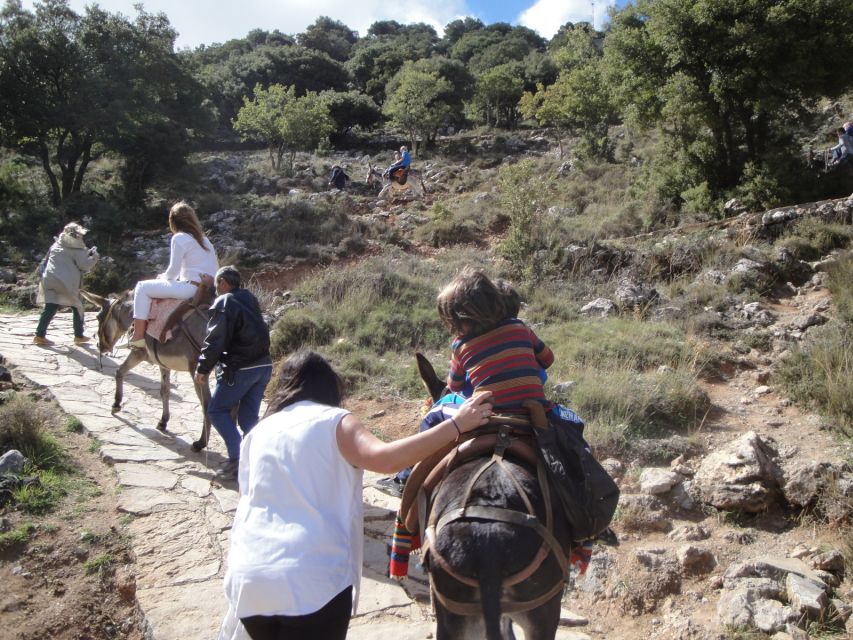 Knossos and Zeus Cave Private Day Tour Starting From Chania - Pickup and Transportation