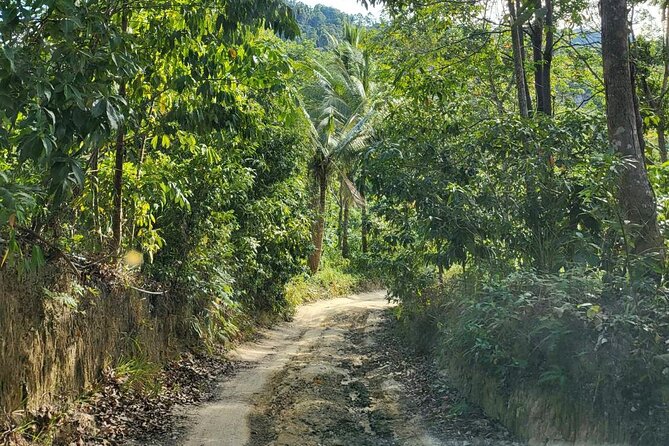 Koh Samui 4WD Jeep Jungle Tour - Participant Experience
