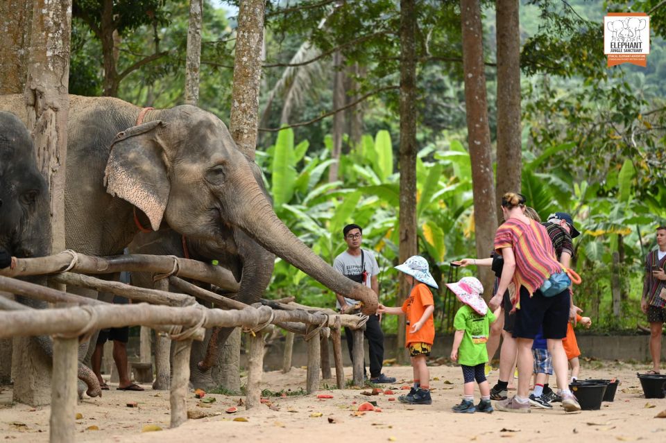 Koh Samui: Elephant Sanctuary Entry and Feeding Experience - Activity Details