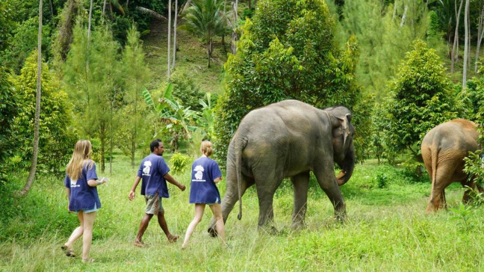 Koh Samui: Half-Day Ethical Elephant Sanctuary With Mud Spa - Jungle Walk With Elephants