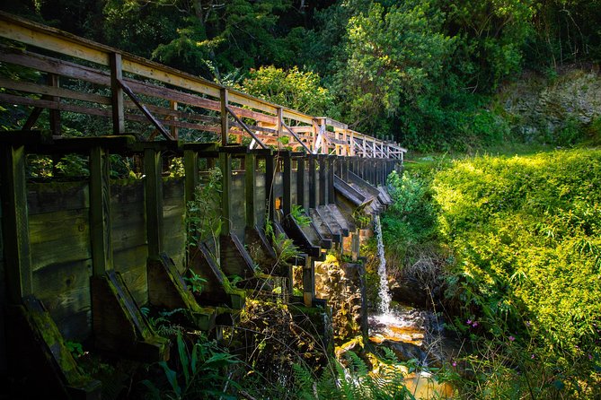 Kohala Waterfalls Small Group Adventure Tour - Waterfalls Exploration