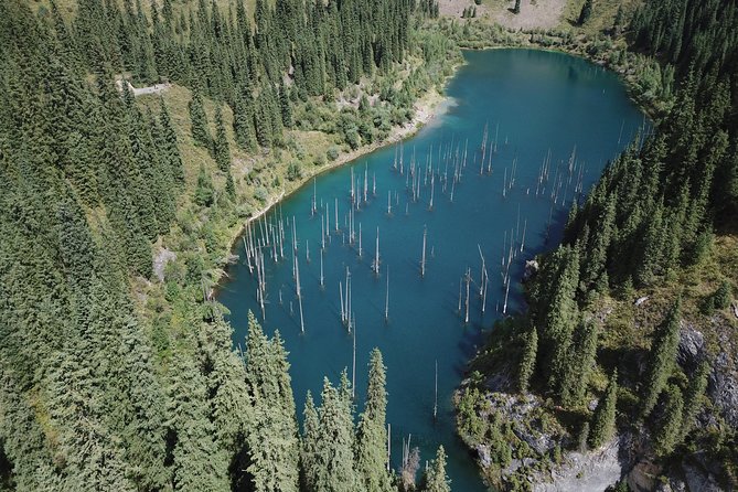 Kolsai and Kaindy Lakes, via Charyn Canyon. Private Day Tour From Almaty - Transport Details