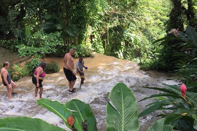 Konoko Falls and Tropical Garden Tour From Ocho Rios - Booking Your Tour
