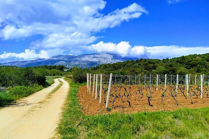 Korcula Bike & Wine Tour - Meeting and Pickup